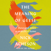 The Meaning of Geese - Nick Acheson