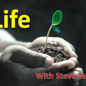 Life 11 - Manipulation is all Around