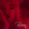 Stream & download Burn (feat. Skull) - Single