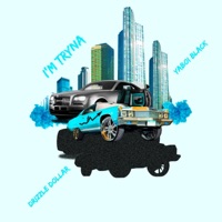 I'm Tryna (feat. Drizzle Dollar & YaBoi Black) - Single - Sho' Cheese