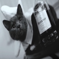 Forever - Single - Evergreen