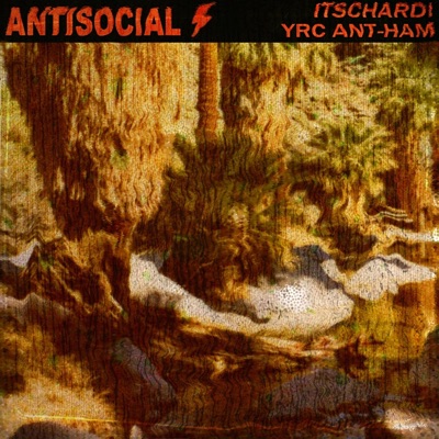 Antisocial (feat. YRC Ant-Ham) - Single