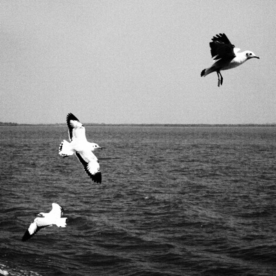 In No Time (feat. Modernotaku) - Single