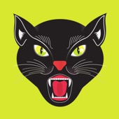 Black Cat, Best You Can Get! artwork