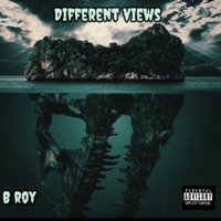 Different Views - Single - B Roy