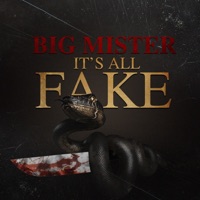 It's All Fake - Single - Big Mister