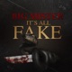 It s All Fake Single