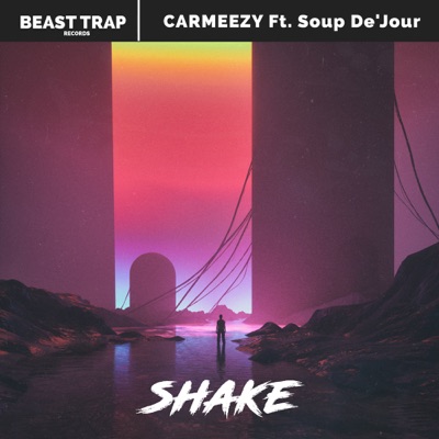 Shake (feat. Soup De'jour) - Single