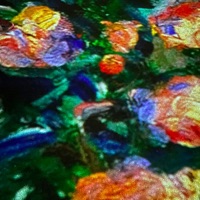 Crying Inside - Single - 63OG