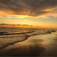 Salt Life - Single - Clayto