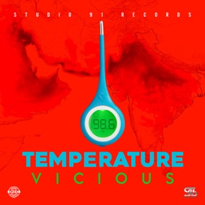 Temperature - Single