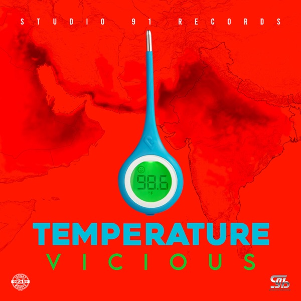 Temperature - Single