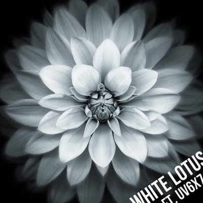 White Lotus (feat. UV6X7) - Single