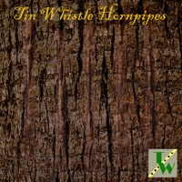 Tin Whistle Hornpipes by The Whistler Music on Apple Music