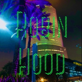 Robin Hood (feat. Domayornota, Akrono & Chitoisback) Dj Te$la