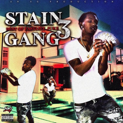Stain Gang 3: Best of Fastlife Juke