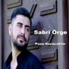 Pusu Kuracaklar - Single