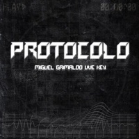 Protocolo (feat. Uve Key) - Single - Miguel Grimaldo