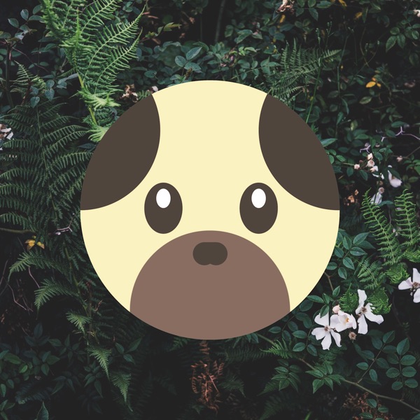 Jungle Pooch - Music for Dogs (1)