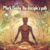 Mark Seelig - Raga Ayahuasca