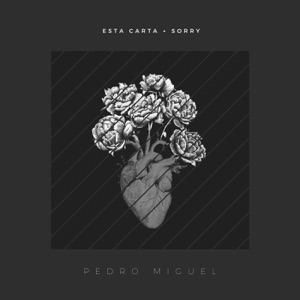 Esta Carta + Sorry - Single