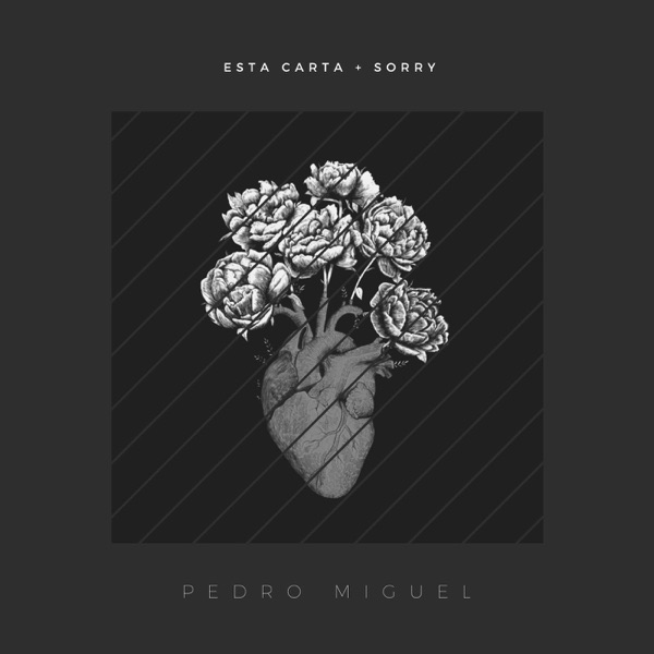 Esta Carta + Sorry - Single