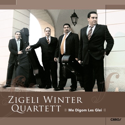 Zigeli Winter, Mano Guttenberger, Joschi Graf, Gismo Graf, Branko Arnšk & Andy Zbik - Me Digom Les Glei