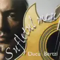 Auzit