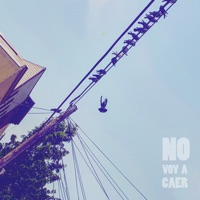 No Voy a Caer - Single - Carlos Diaz
