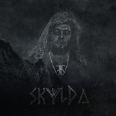 Skylda artwork