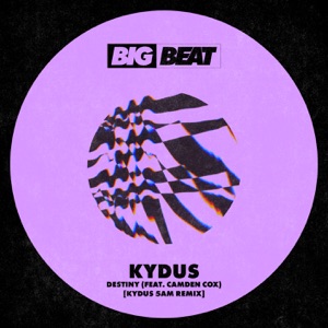 Destiny (feat. Camden Cox) [Kydus 5am Remix] - Single