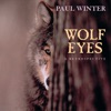 Wolf Eyes - a Retrospective (Collection)