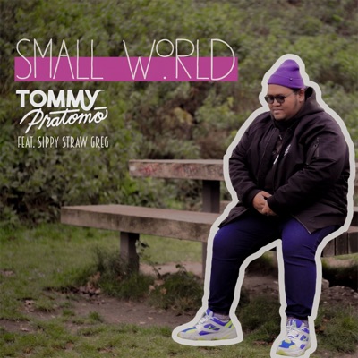 Small World (feat. Sippy Straw Greg) - Single