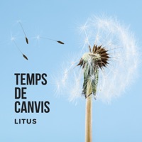 Temps de Canvis - Single - Litus