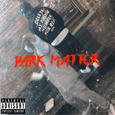Dark Matter