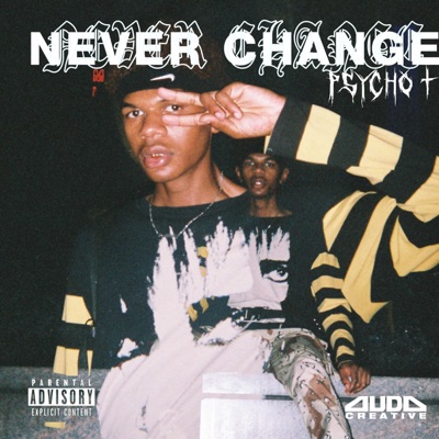 Never Change - Single