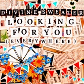 Divine Sweater - Looking for You (Everywhere)