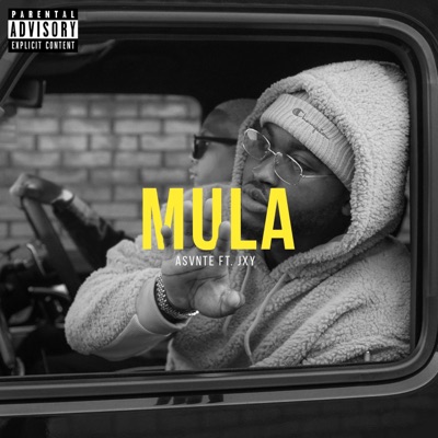 Mula (feat. JXY) - Single