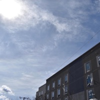 The Wind - Single - Humble Among