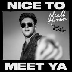 Nice to Meet Ya (Diplo Remix) - Single