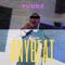 Any Beat - Puddz lyrics