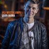 Vili Mustalampi - Liian ihana artwork