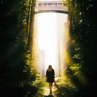 Song - Roll My Trees - Alvin Remix