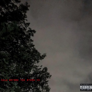 Calm Before the Storm V2 - Single