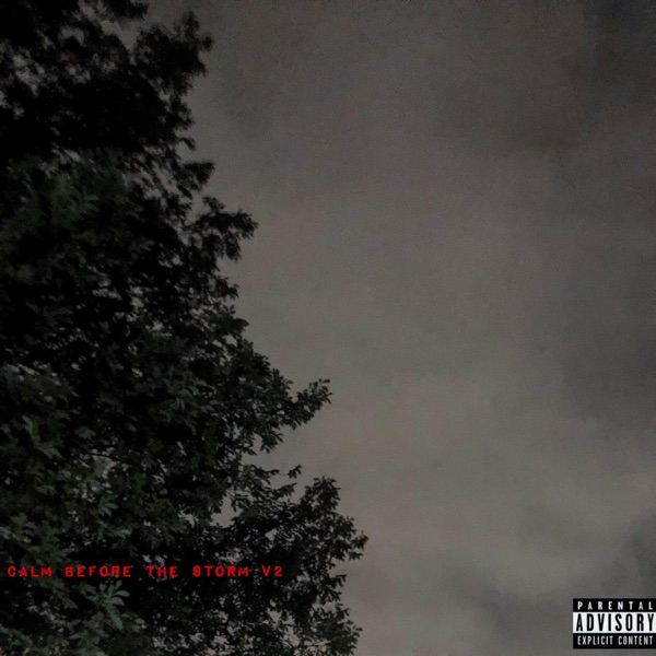 Calm Before the Storm V2 - Single