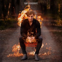 Say Goodbye - Single - IZACK HUNT