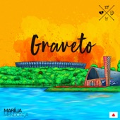 Graveto (Ao Vivo) artwork