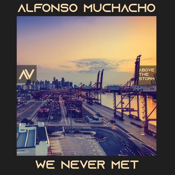 We Never Met - Single