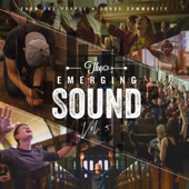 The Emerging Sound, Vol. 5 artwork