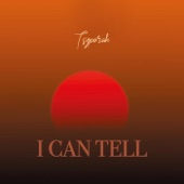 I Can Tell artwork